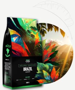 BRAZILIA MONTE CARMELO